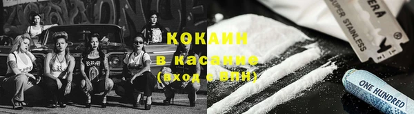 стаф Алзамай