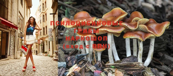 индика Абдулино