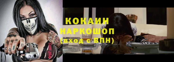 стаф Алзамай