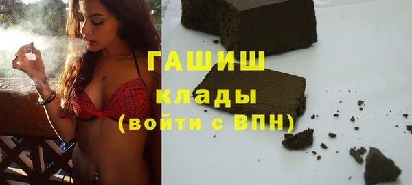 стаф Алзамай