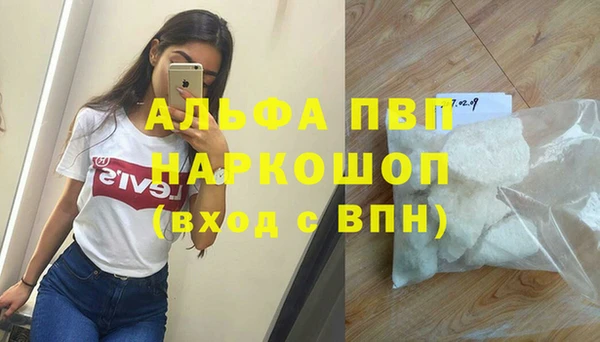 твердый Новозыбков