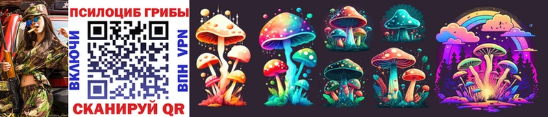 Галлюциногенные грибы Cubensis  KRAKEN tor  Мирный 